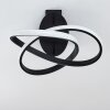 COCHATO Ceiling Light LED black, white, 2-light sources