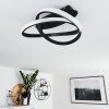 COCHATO Ceiling Light LED black, white, 2-light sources