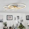 MALANJE Ceiling Light LED matt nickel, 4-light sources