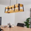 TIFLIS Pendant Light black, 4-light sources