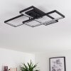 GHANA Ceiling Light LED black, 3-light sources, Remote control, Colour changer