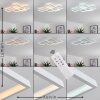 GHANA Ceiling Light LED white, 4-light sources, Remote control, Colour changer