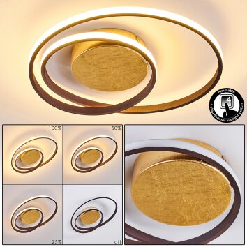 LEKSUND Ceiling Light LED gold, 2-light sources