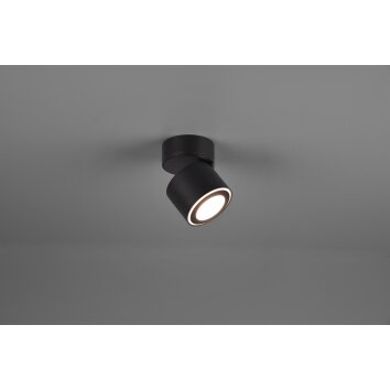 Trio TAURUS Ceiling Light LED black, 2-light sources