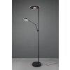 Trio BARRIE Floor Lamp LED black, 2-light sources