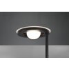 Trio BARRIE Floor Lamp LED black, 2-light sources