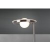 Trio BARRIE Floor Lamp LED matt nickel, 2-light sources