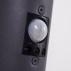GABORONE Outdoor Wall Light anthracite, 1-light source, Motion sensor