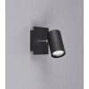 Trio Leuchten MARLEY Spotlight black, 1-light source
