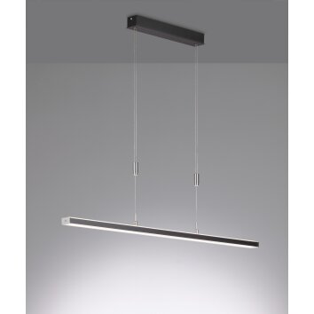 Fischer & Honsel  VITAN TW Pendant Light LED black, 1-light source