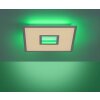 Leuchten-Direkt RECESS Ceiling Light LED white, 2-light sources, Remote control, Colour changer