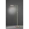 Fischer & Honsel  NAMI Floor Lamp LED brass, 1-light source