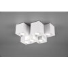 Trio FERNANDO Ceiling Light white, 6-light sources