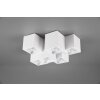 Trio FERNANDO Ceiling Light white, 6-light sources