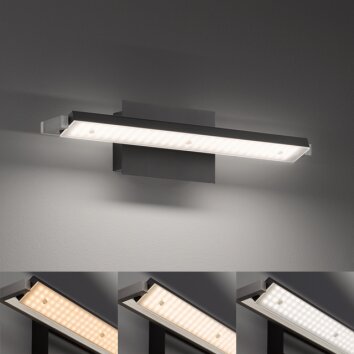Fischer & Honsel  PARE TW Wall Light LED black, 1-light source