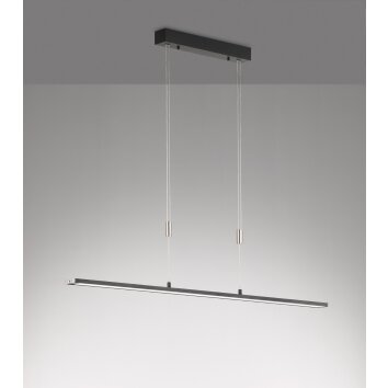 Fischer & Honsel  METZ TW Pendant Light LED black, 1-light source