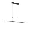 Fischer & Honsel  METZ TW Pendant Light LED black, 1-light source