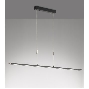 Fischer & Honsel  METZ TW Pendant Light LED black, 1-light source
