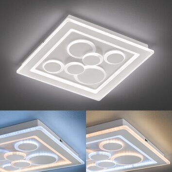 Fischer & Honsel  RATIO Ceiling Light LED white, 1-light source, Remote control