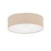 Fischer & Honsel  THOR Ceiling Light sand-coloured, 3-light sources