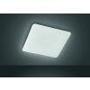 Fischer & Honsel  ALDO Ceiling Light LED white, 1-light source