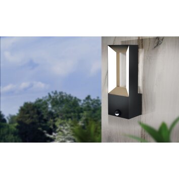 Eglo RIFORANO Outdoor Wall Light LED black, 2-light sources, Motion sensor
