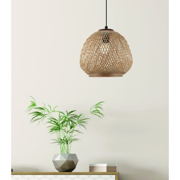 Eglo DEMBLEBY Pendant Light black, 1-light source