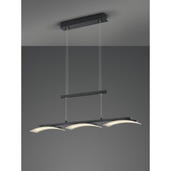 Reality IKARIA Pendant Light LED black, 3-light sources