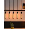 Lucide LIONEL Pendant Light black, 5-light sources