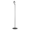 Nordlux CONTINA Floor Lamp black, 1-light source