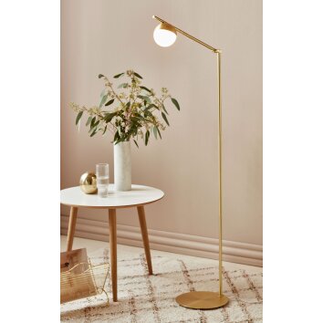Nordlux CONTINA Floor Lamp brass, 1-light source