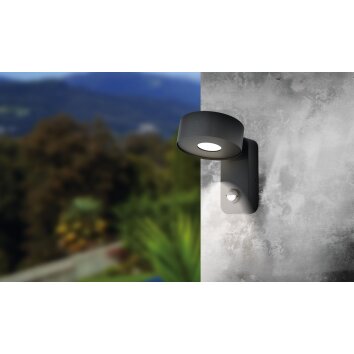 Eglo PALOSCO Outdoor Wall Light LED black, 1-light source, Motion sensor