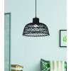 Eglo AUSNBY Pendant Light black, 1-light source