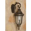 Orion outdoor wall light transparent, clear