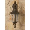 Orion outdoor wall light transparent, clear