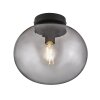 Nordlux ALTON Ceiling Light black, 1-light source