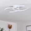 GUINEA Ceiling Light LED white, 2-light sources