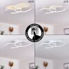 GUINEA Ceiling Light LED white, 2-light sources