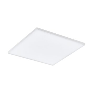 Eglo TURCONA Ceiling Light LED white, 1-light source, Colour changer