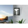 Eglo NEMBRO Outdoor Wall Light LED black, 1-light source