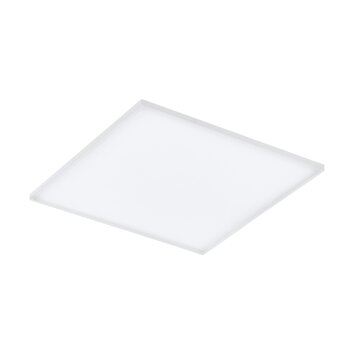 Eglo TURCONA Ceiling Light LED white, 1-light source, Colour changer