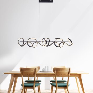 Leuchten-Direkt CURLS Pendant Light LED black, 4-light sources