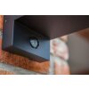 Lutec FLAIR Outdoor Wall Light black, 1-light source, Motion sensor