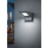 Trio NELSON Outdoor Wall Light LED anthracite, 1-light source, Motion sensor