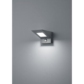 Trio NELSON Outdoor Wall Light LED anthracite, 1-light source, Motion sensor