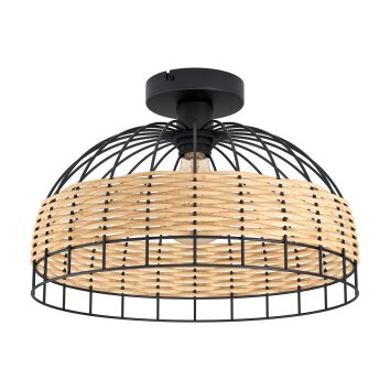 Eglo ANWICK Ceiling Light black, 1-light source