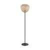 Eglo DEMBLEBY Floor Lamp black, 1-light source