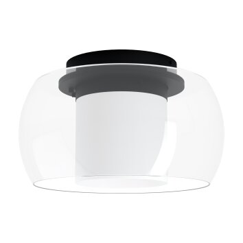 Eglo BRIAGLIA Ceiling Light LED black, 1-light source, Colour changer