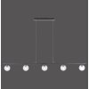Paul Neuhaus WIDOW Pendant Light LED black, 5-light sources