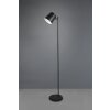 Reality BLAKE Floor Lamp LED black, 1-light source